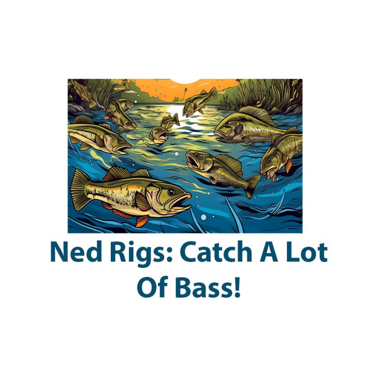 Ned Rig Fishing For Bass: Catch A Lot Of Bass