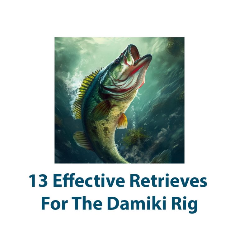 Guide For 13 Effective Retrieves For The Damiki Rig