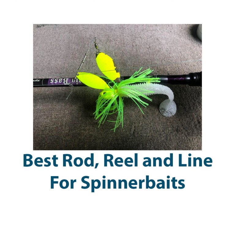 Best Rod, Reel and Line For Spinnerbaits