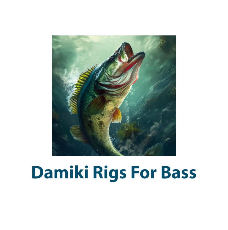 Damiki Rig Guide For Bass