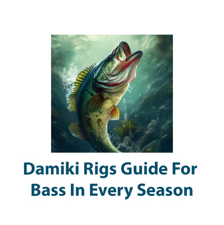 Damiki Rig Guide For Bass In Every Season