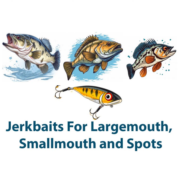 Jerkbaits For Largemouth, Smallmouth and Spotted Bass