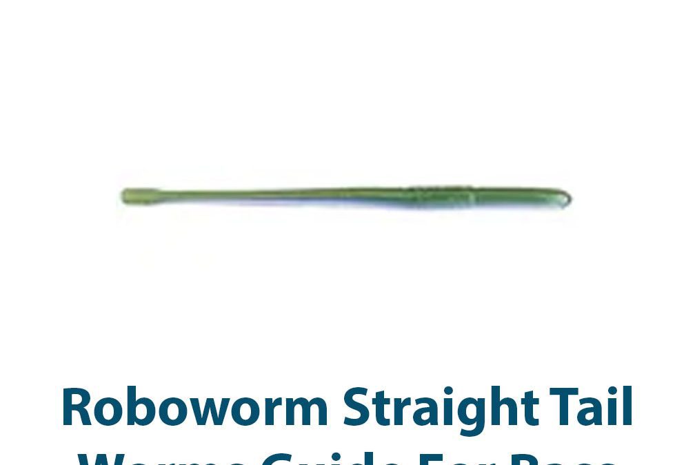 Roboworm Straight Tail Worm Guide For Bass