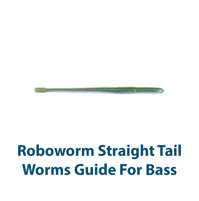 Roboworm Straight Tail Worm Guide For Bass