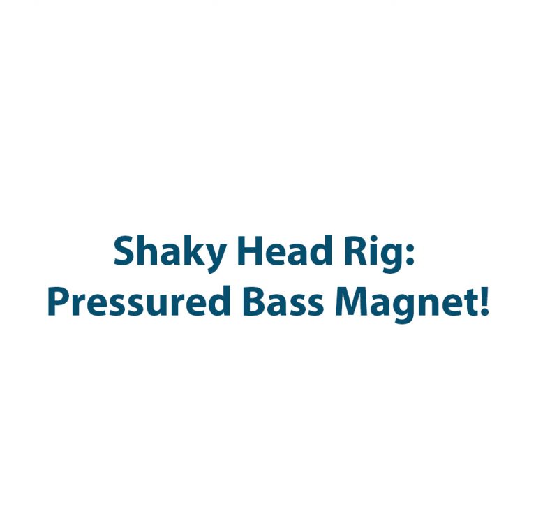 Shaky Head Rigs For Bass: Pressured Bass Magnet