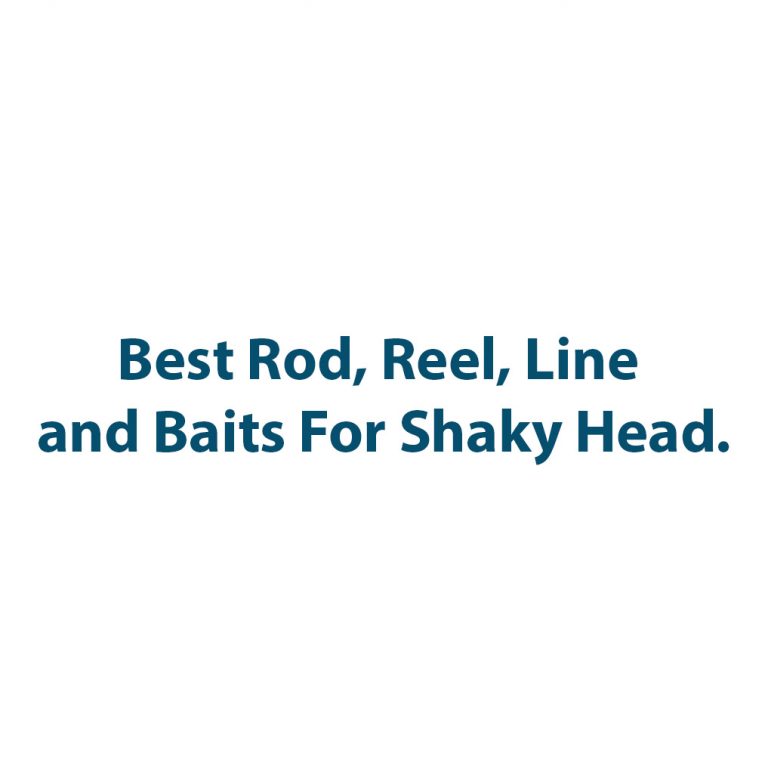 Best Rod, Reel, Line and Baits For Shaky Heads