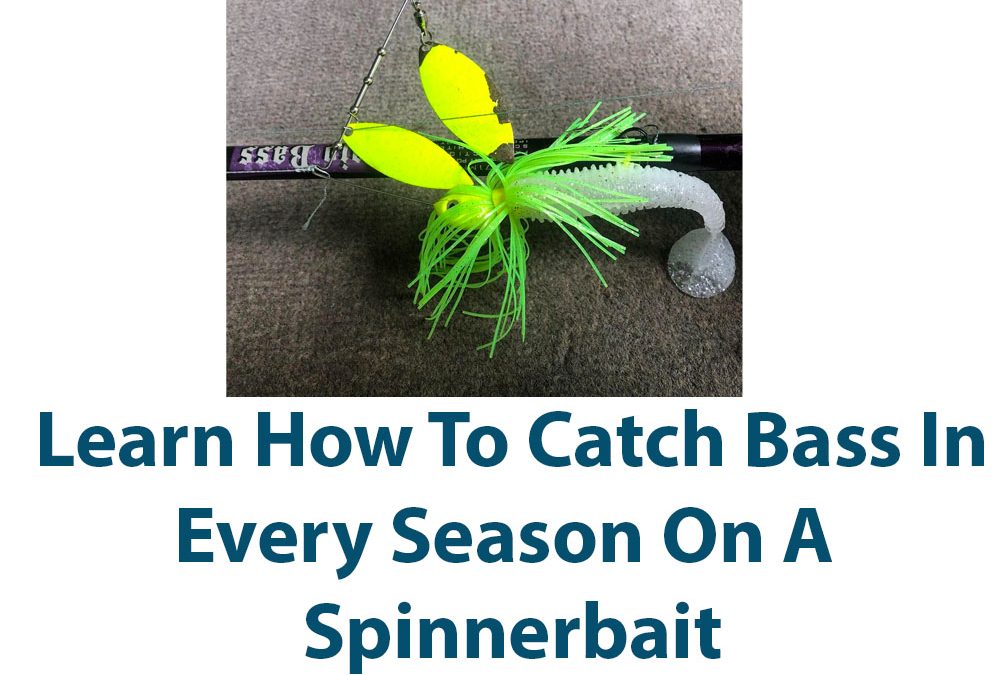 Catch Bass In All Seasons On A Spinnerbait