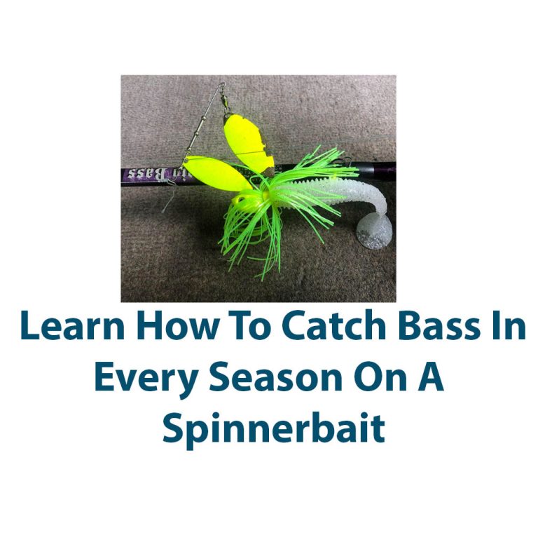 Catch Bass In All Seasons On A Spinnerbait