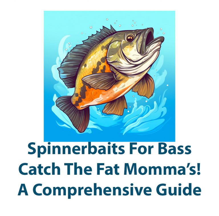 Spinnerbaits For Bass: Catch The Big Momma’s!